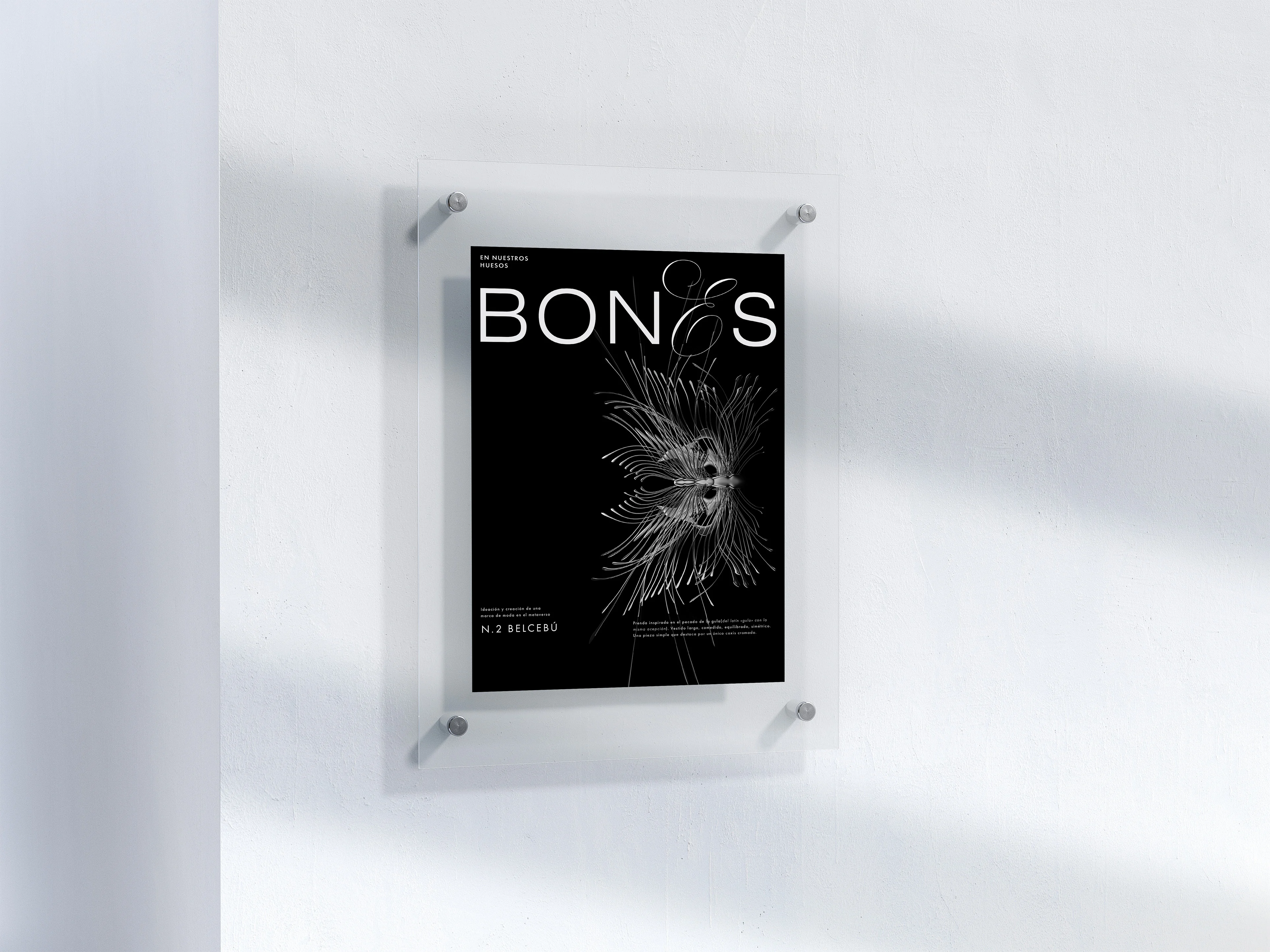 Bones